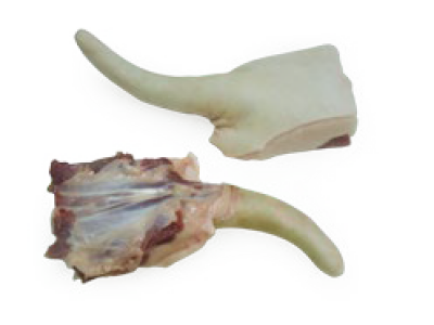 imagem de Rabo